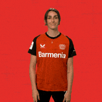 Werkself B04 GIF by Bayer 04 Leverkusen