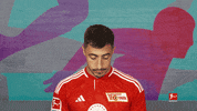 Posing Line Up GIF by Bundesliga
