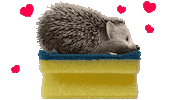 Cleaning Love Sticker by Spontex
