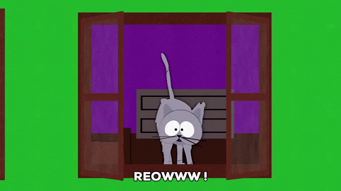 kitty meowing GIF by South Park 