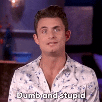 Okay_Decision james vanderpump rules pumprules dumb and stupid GIF