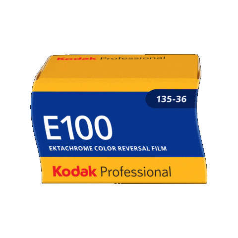 Film Photography Sticker by Kodak Professional