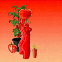 Salad Dressing Cooking GIF by The LSD Hotel