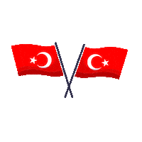 Vote Flag Sticker