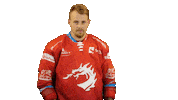 Ice Hockey Sticker Sticker by HC Oceláři Třinec