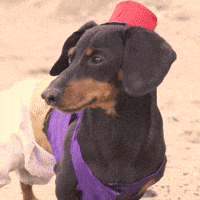Magic Lamp Aladdin GIF by Crusoe