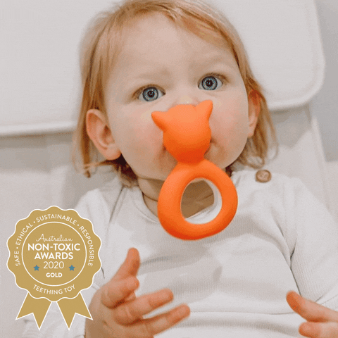 MizzieTheKangaroo giphyupload GIF