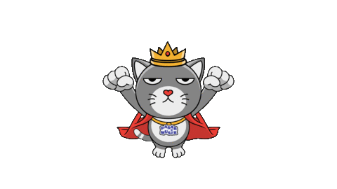 Cat Festival Sticker