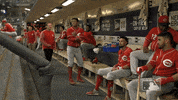 williams mason GIF by MLB