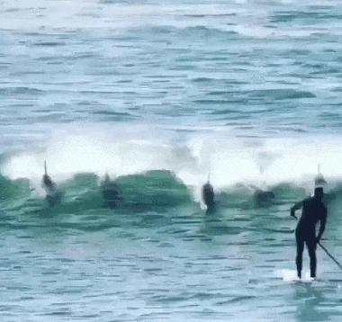 giffunme giphyupload GIF