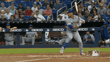 ny mets baseball GIF by New York Mets