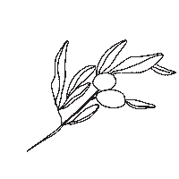 Jamiegernert Sticker by WYC Designs