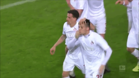 football soccer GIF by 1. FC Köln