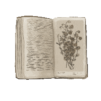 Vintage Books Sticker