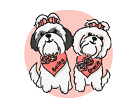 Shih Tzu Sticker