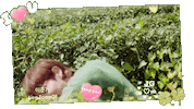 Lee Joon Gi Jg Sticker