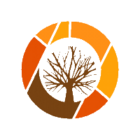 okuhuman okuhuman oku human lifetree baoba tree Sticker