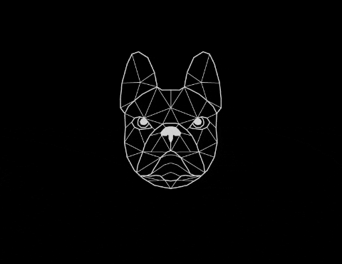 dogldn giphyupload dog dogs london GIF