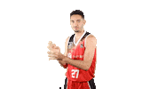 Liga Endesa Basketball Sticker by ACB