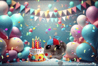 Cake Celebrate GIF by Sad Hamster