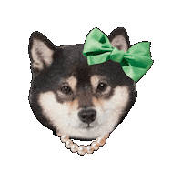 Dog Sticker