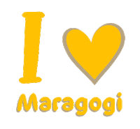 salinas salinasmaragogi Sticker