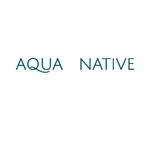 AquaNative giphyupload water swimming diving Sticker