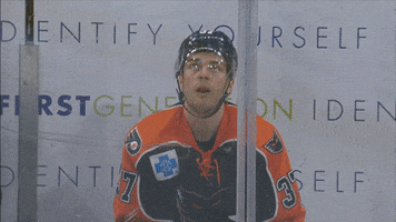 ice hockey what GIF by Lehigh Valley Phantoms