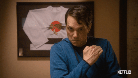 Cobra Kai GIF by NETFLIX