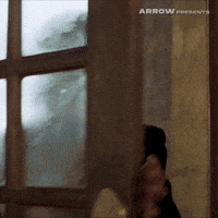 Antonio Banderas Film GIF by Arrow Video