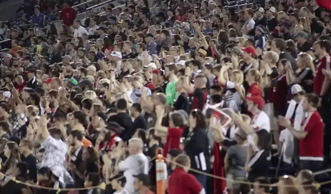 soccer fans GIF by D.C. United