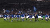 Happy Dance GIF by FC Schalke 04