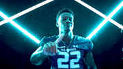Old Dominion Sport GIF by ODU Football