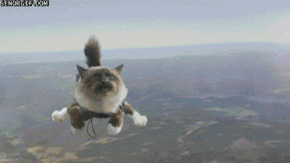 skydiving GIF by Cheezburger