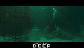 Shark Week Dive GIF by Signature Entertainment