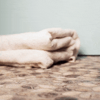 GIF by Biutest