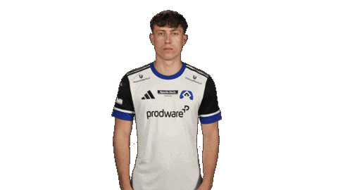 Hamburger Sv Football Sticker by Bundesliga