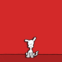 Happy Christmas GIF by Chippy the Dog