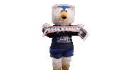 Angers Pucky Sticker by Les Ducs d'Angers