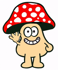 oklahomafungi love happy smile rainbow GIF