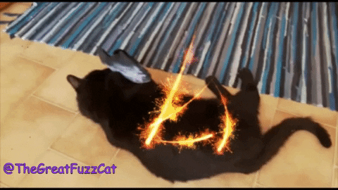 radishthegreat giphygifmaker cat fire kitty GIF