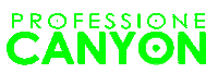Canyon Sticker by Searching emotions