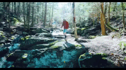 connecticut GIF