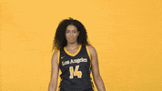 Division Ii Sport GIF by Cal State LA Golden Eagles
