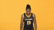 Division Ii Sport GIF by Cal State LA Golden Eagles