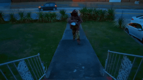 GIF by Domani