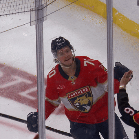 Get Loud Goal GIF by Florida Panthers