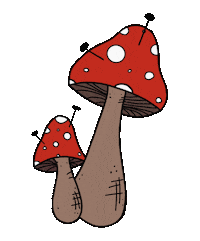 Fesztival Sticker by Gombaszög