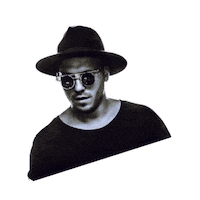 sunburn festival Sticker by Gian Nobilee