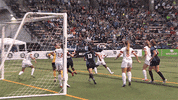 reign fc goal GIF by Seattle Reign FC